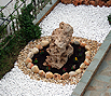 CODE 6: Flower bed decoration, withe white - politiko peeble beige and large decorative rock Aris