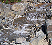 CODE 4: Construction of a natural stone waterfall