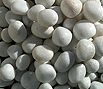 CODE 2: White pebble - sphere, 4-6 cm